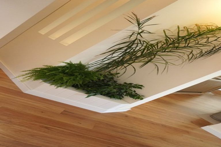 Photo of property in 33 Cassandra Street, Stratford, 4332