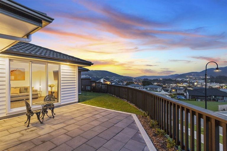 Photo of property in 113 John Burke Drive, Aotea, Porirua, 5024
