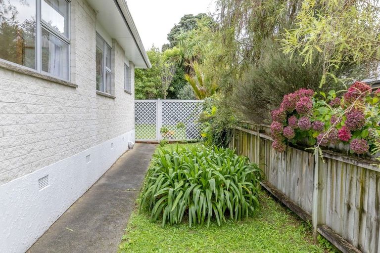 Photo of property in 36 York Street, Levin, 5510