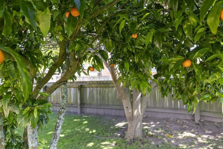 Photo of property in 13 Harlock Place, Huntly, 3700