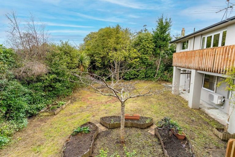 Photo of property in 45 Leven Street, Roslyn, Dunedin, 9010