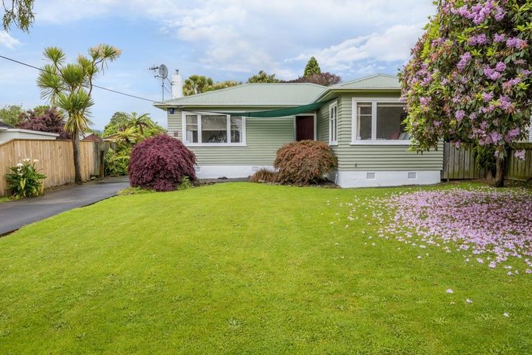 Photo of property in 10 Gardener Street, Levin, 5510