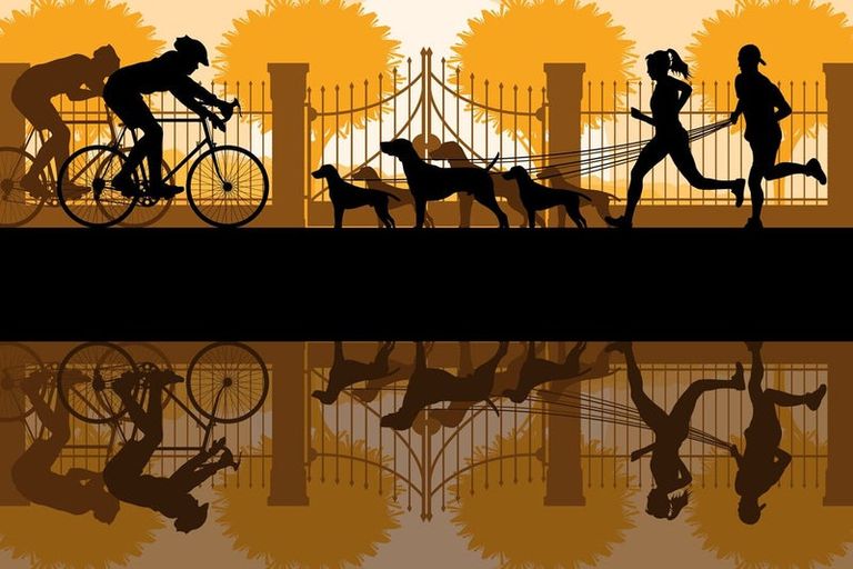 Photo of property in 26 Whitehall Drive, Springlands, Blenheim, 7201