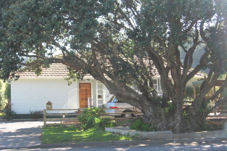 Photo of property in 405 Burke Street, Thames, 3500