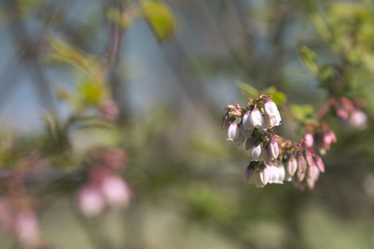 Photo of property in 70 Parore Street, Parore, Dargaville, 0372