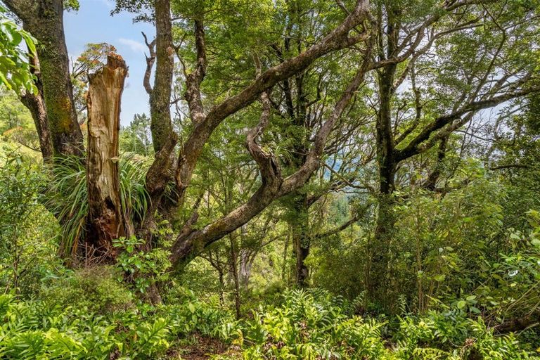 Photo of property in 72 Avro Road, Blue Mountains, Upper Hutt, 5371