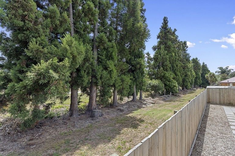 Photo of property in 32 Hastings Place, Hamilton Lake, Hamilton, 3204