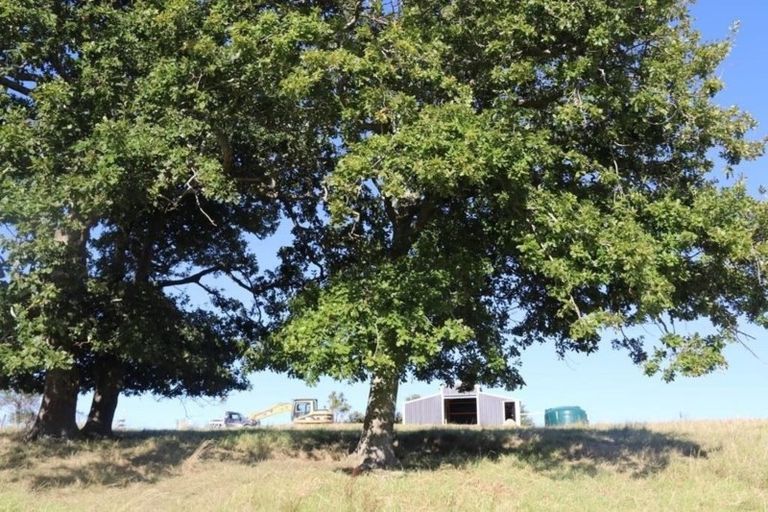 Photo of property in 182 Morrison Road, Arapohue, Dargaville, 0374