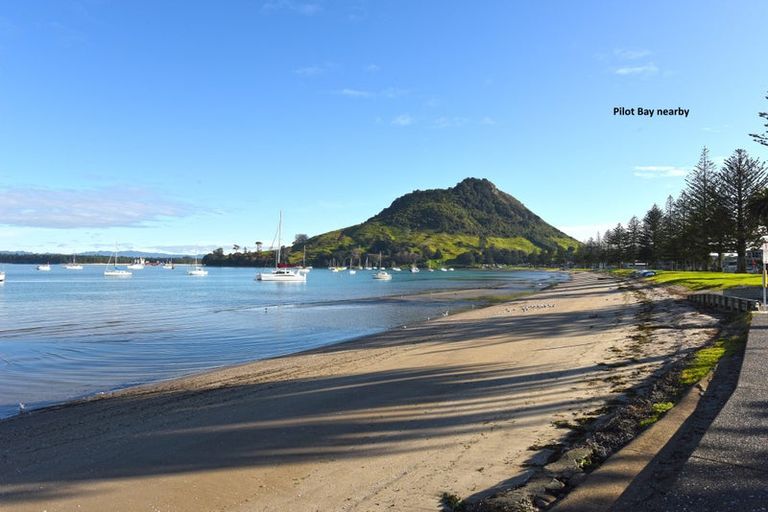 Photo of property in 16c May Street, Mount Maunganui, 3116