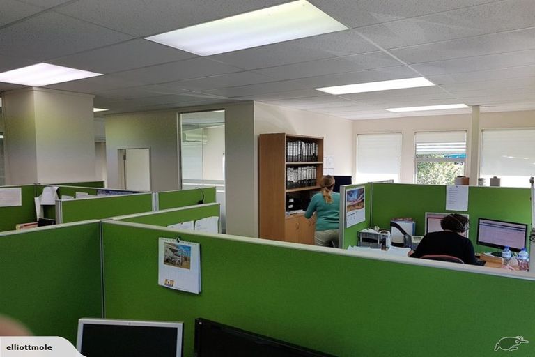 Photo of property in 65b View Road, Henderson, Auckland, 0612