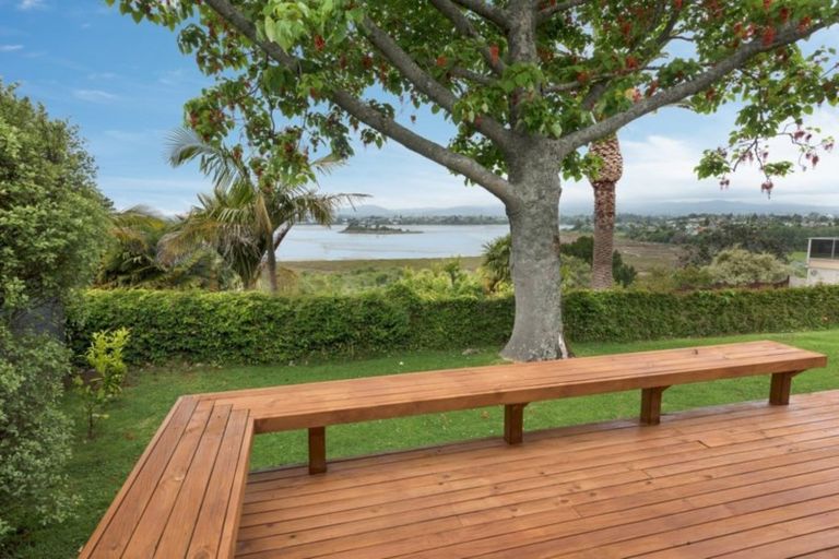 Photo of property in 204a Grange Road, Otumoetai, Tauranga, 3110
