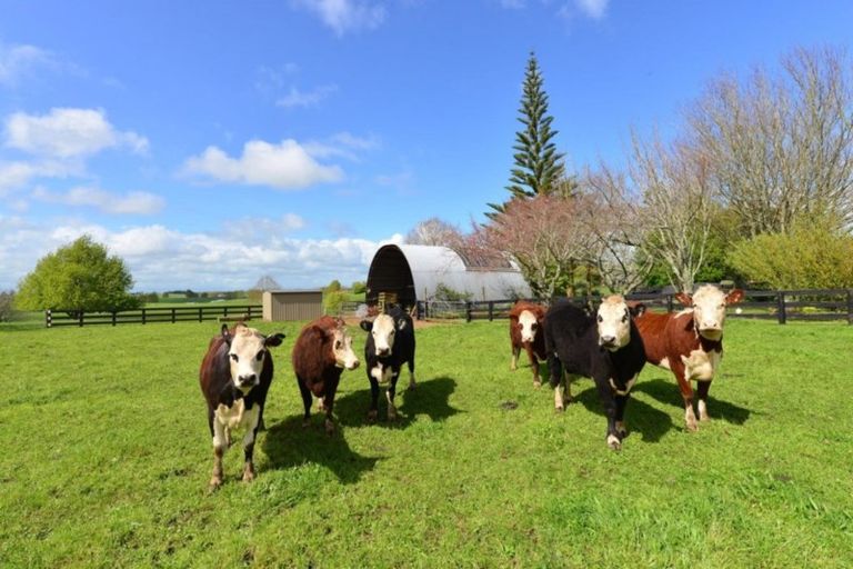 Photo of property in 596 Horsham Downs Road, Horsham Downs, Hamilton, 3281