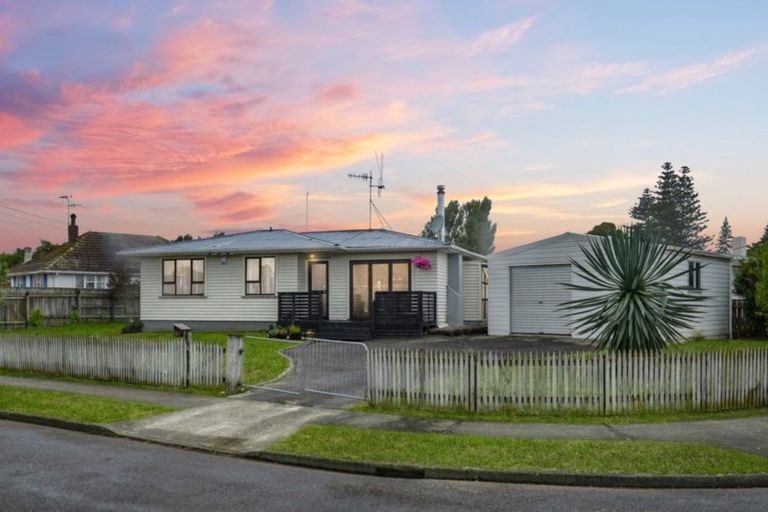 Photo of property in 14 Totara Street, Otaki, 5512