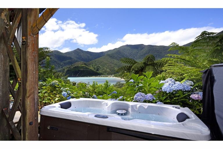 Photo of property in 29 Hope Drive, Okiwi Bay, French Pass, 7193