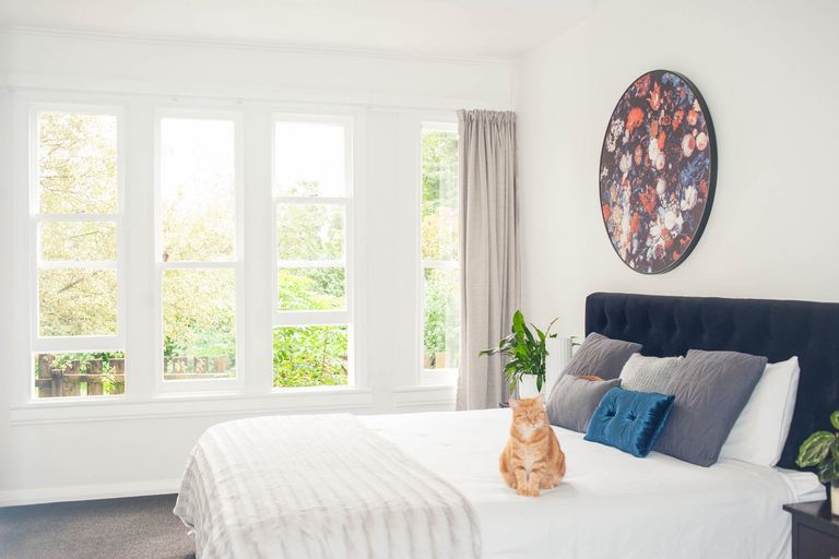 Photo of property in 1/598 Alexandra Street, Te Awamutu, 3800