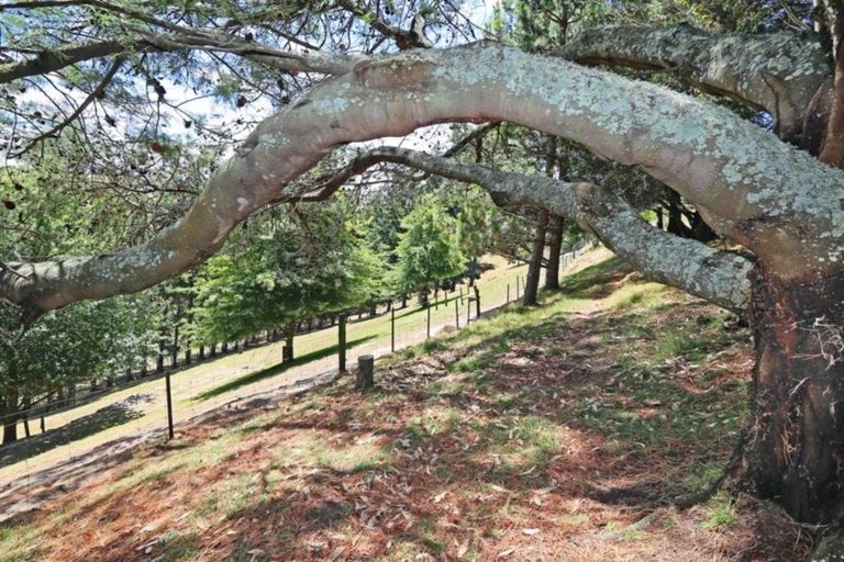 Photo of property in 72 Longview Road, Poraiti, Napier, 4182