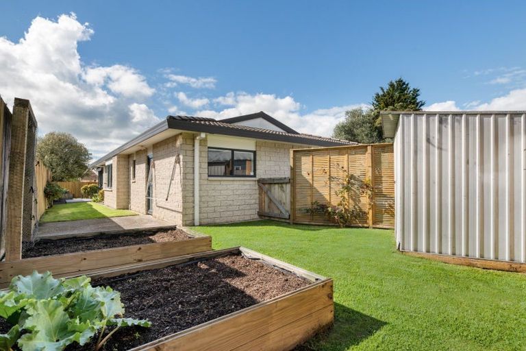 Photo of property in 117 Matapihi Road, Mount Maunganui, 3116