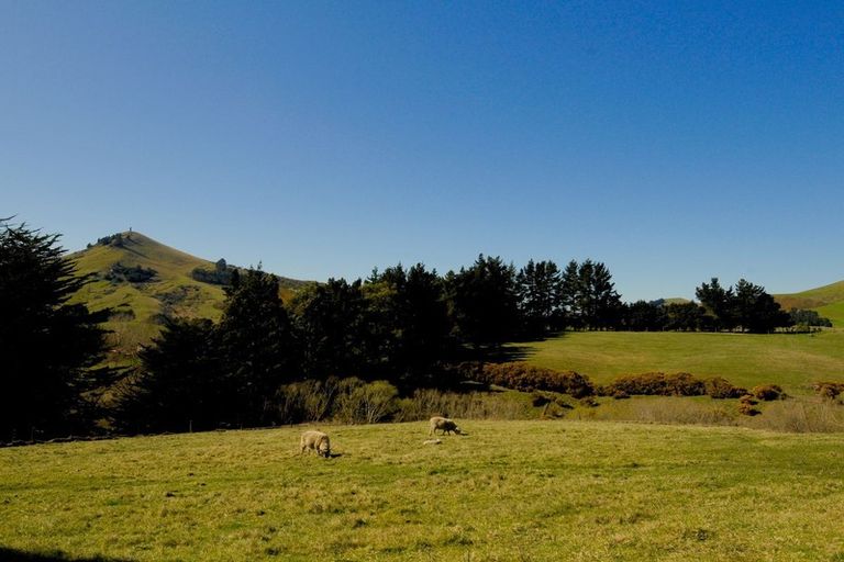 Photo of property in 44 Ronaldsay Street, Palmerston, 9430