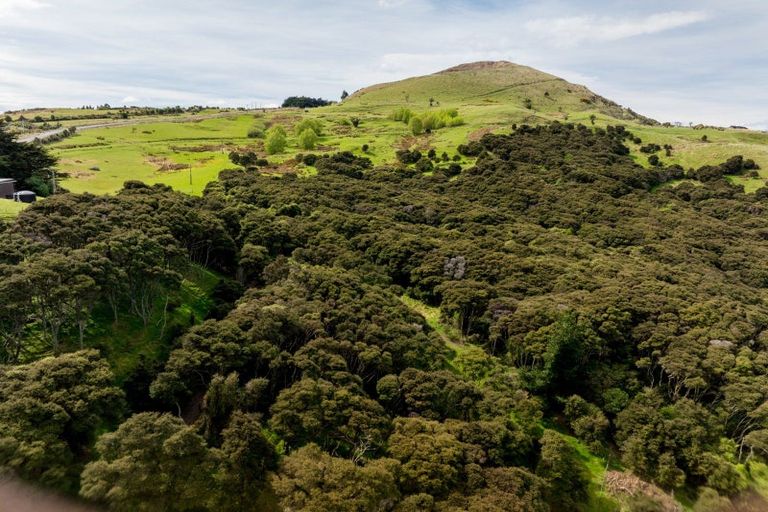 Photo of property in 351 Saddle Hill Road, Scroggs Hill, Dunedin, 9076