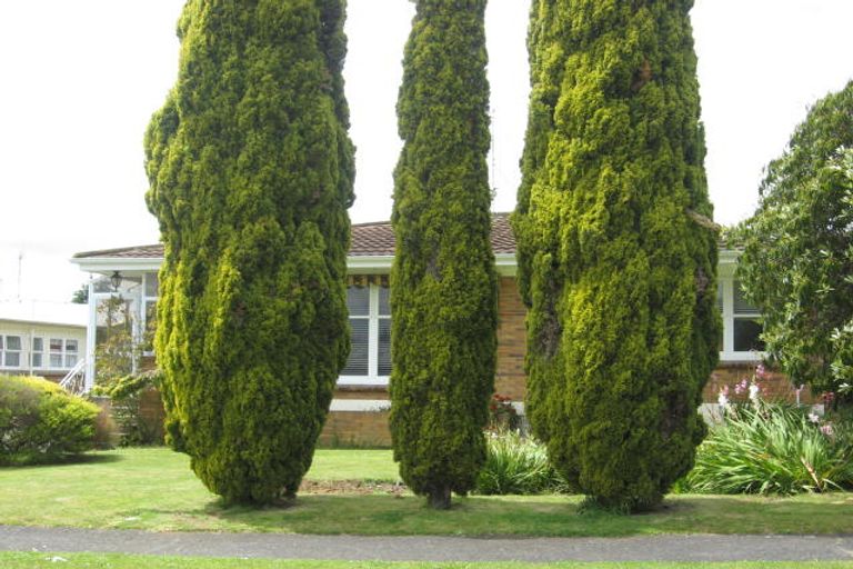 Photo of property in 195 Elizabeth Avenue, Te Awamutu, 3800