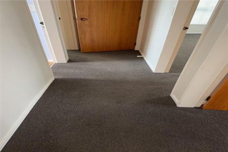 Photo of property in 17 Douglas Street, Levin, 5510