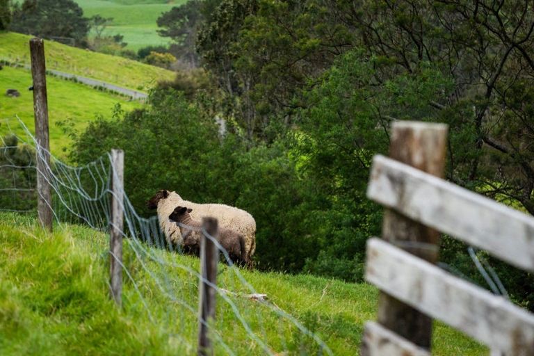 Photo of property in 221 Lindemann Road, Tahawai, Katikati, 3170