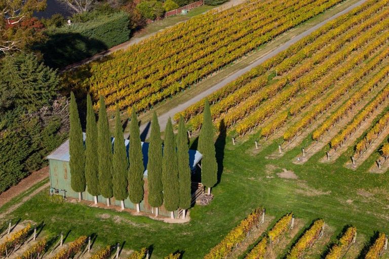 Photo of property in 322 Middle Renwick Road, Springlands, Blenheim, 7271