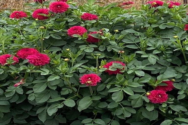 Photo of property in 205 High Street, Oxford, 7430