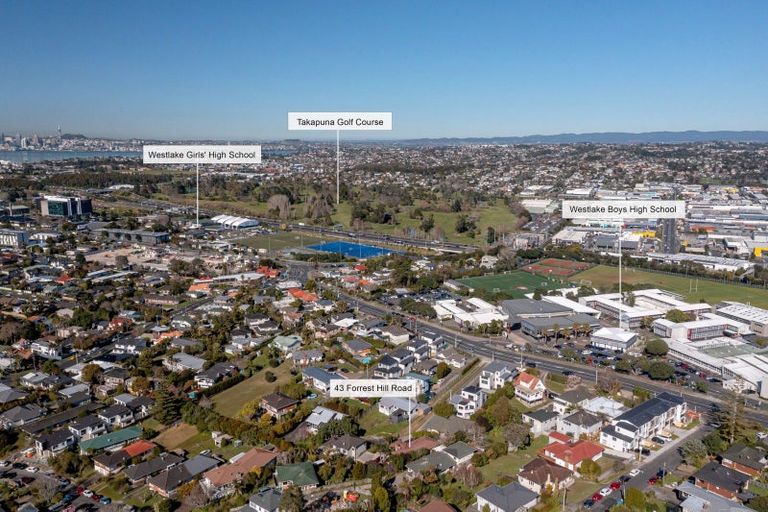 Photo of property in 43 Forrest Hill Road, Milford, Auckland, 0620