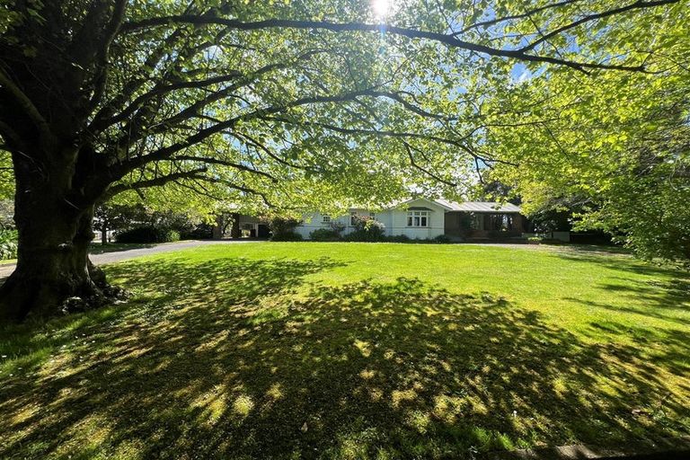 Photo of property in 18 Skerman Street, Marton, 4710