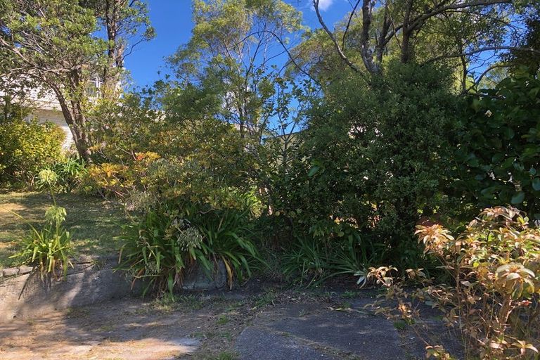 Photo of property in 59 Wilton Road, Wilton, Wellington, 6012