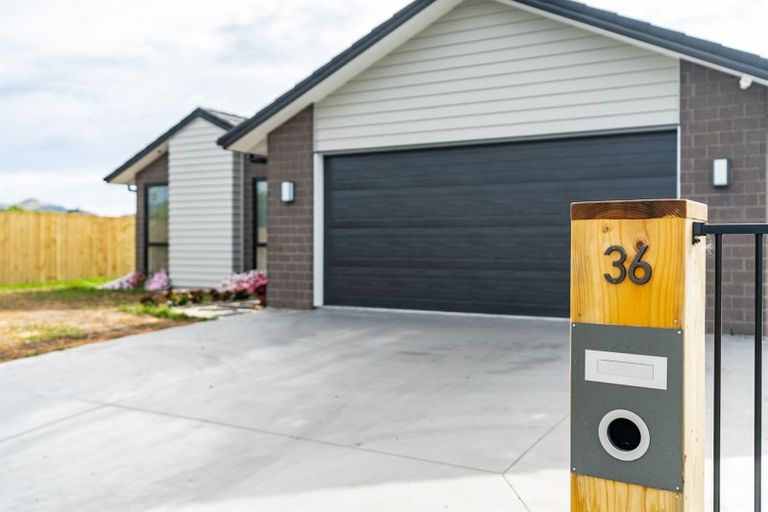 Photo of property in 36 Marram Place, Mangawhai Heads, Mangawhai, 0505