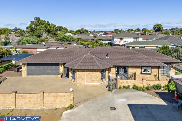Photo of property in 465a Great South Road, Papatoetoe, Auckland, 2025