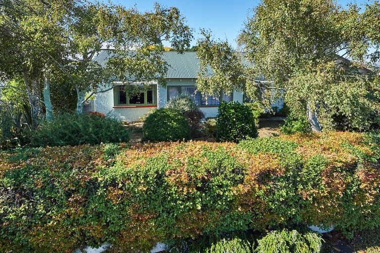 Photo of property in 34 Manson Street, Terrace End, Palmerston North, 4410