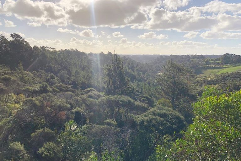 Photo of property in 34 Lonely Track Road, Redvale, Auckland, 0632