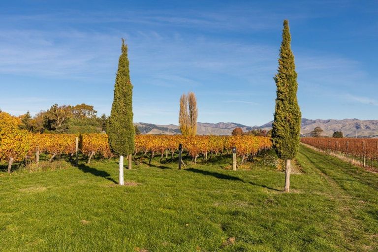 Photo of property in 322 Middle Renwick Road, Springlands, Blenheim, 7271