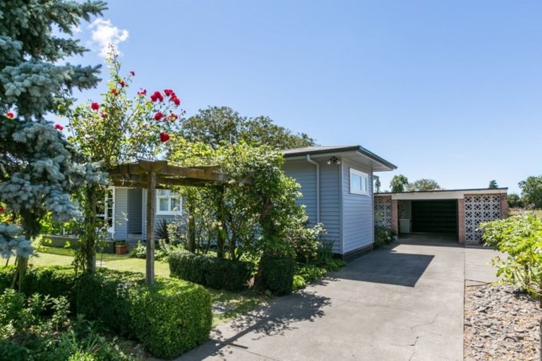 Photo of property in 81 Tollemache Road East, Longlands, Hastings, 4122