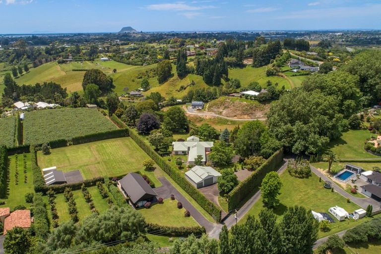 Photo of property in 20 Plane Tree Lane, Tauriko, Tauranga, 3110