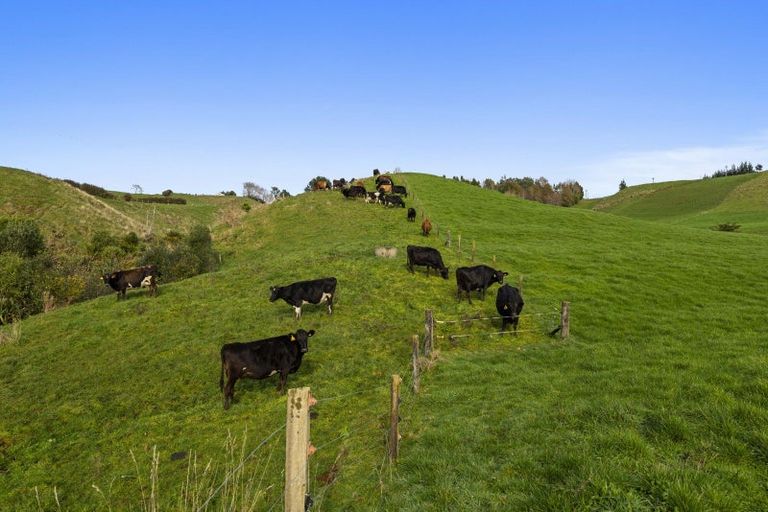 Photo of property in 1234 Richmond Road, Everett Park, Inglewood, 4389