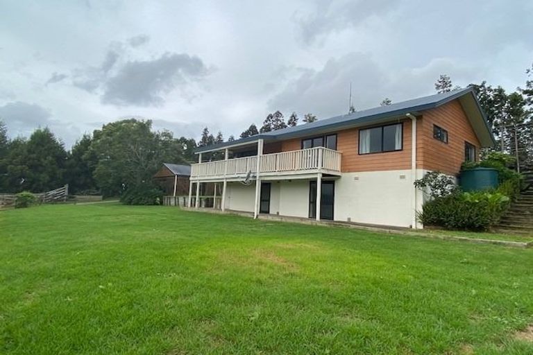Photo of property in 374 Youngson Road, Whakamarama, Tauranga, 3179