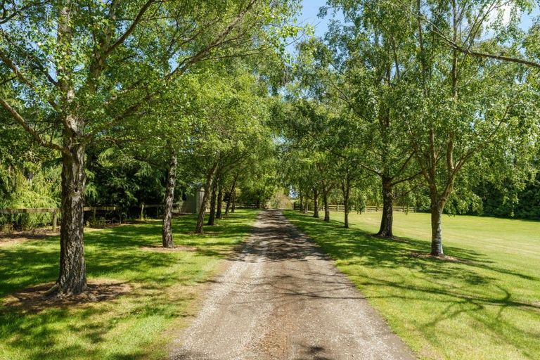 Photo of property in 930 Ferry Road, Papakaio, Oamaru, 9494