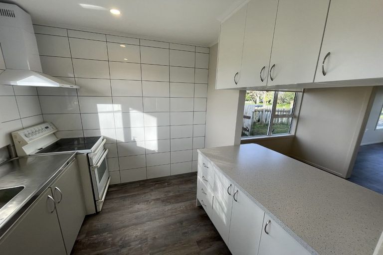 Photo of property in 19 Jupiter Street, Rosehill, Papakura, 2113