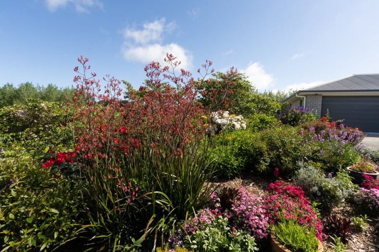 Photo of property in 205 Taylors Road, Otaki, 5583