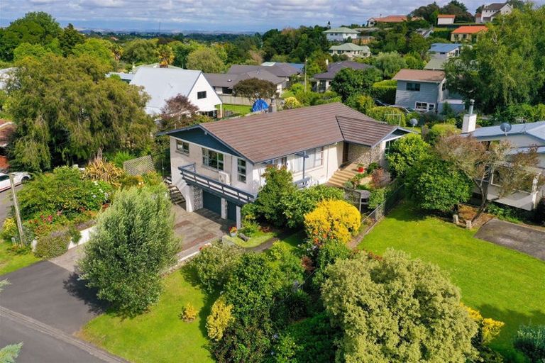 Photo of property in 31 Tanner Street, Havelock North, 4130
