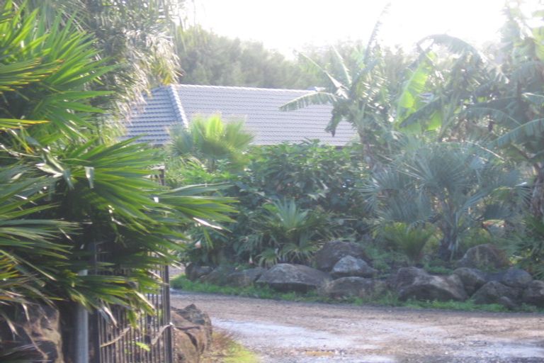 Photo of property in 387 Henderson Valley Road, Henderson Valley, Auckland, 0612