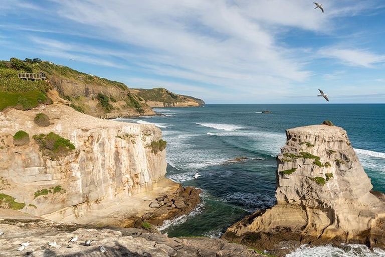 Photo of property in 7 Oranga Drive, Westgate, Auckland, 0614