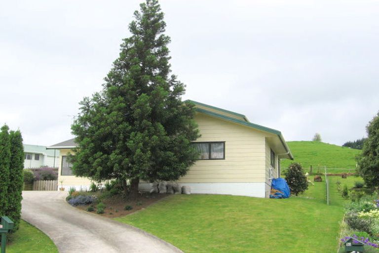 Photo of property in 56 Shaw Avenue, Paeroa, 3600