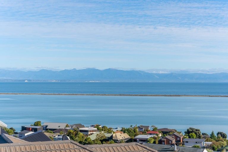 Photo of property in 50 Tresillian Avenue, Marybank, Nelson, 7010