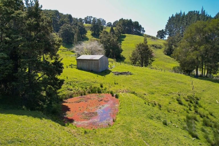 Photo of property in 246 Te Tio Road, Umawera, Okaihau, 0476