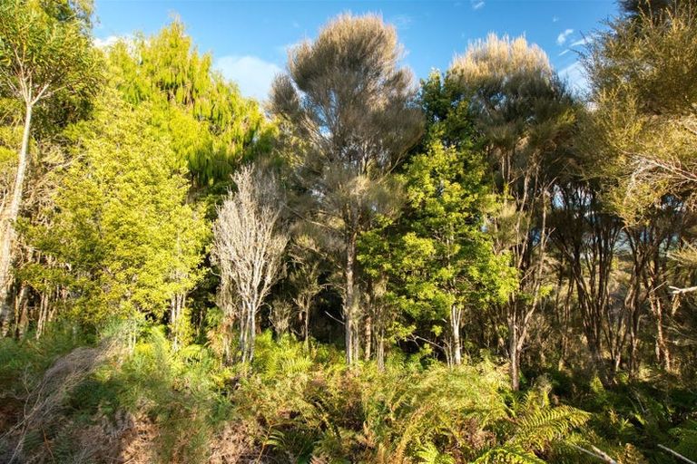 Photo of property in 45d Beechwater Drive, Arnold Valley, 7872